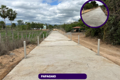 Papagaio